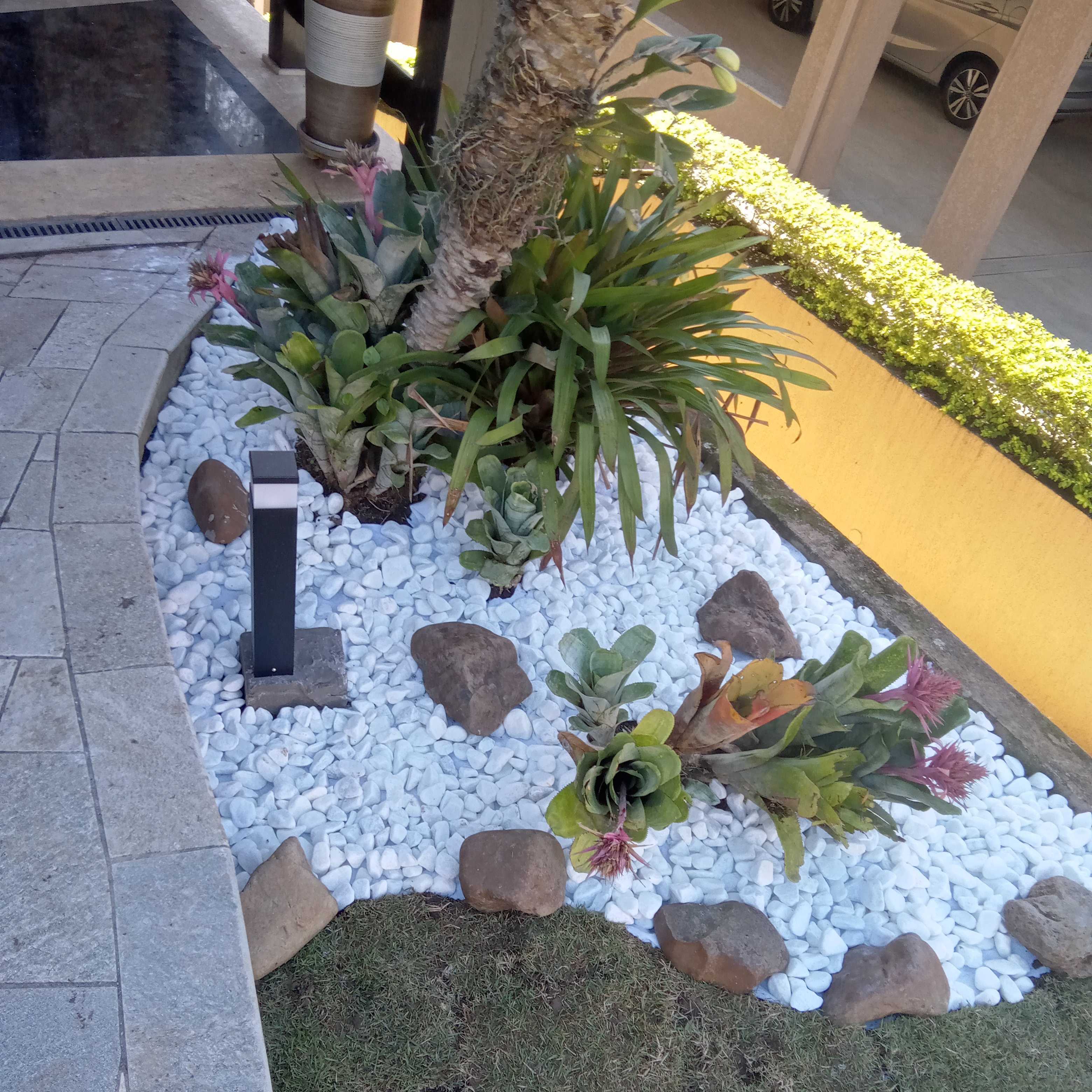 Foto de Limpeza e jardinagem