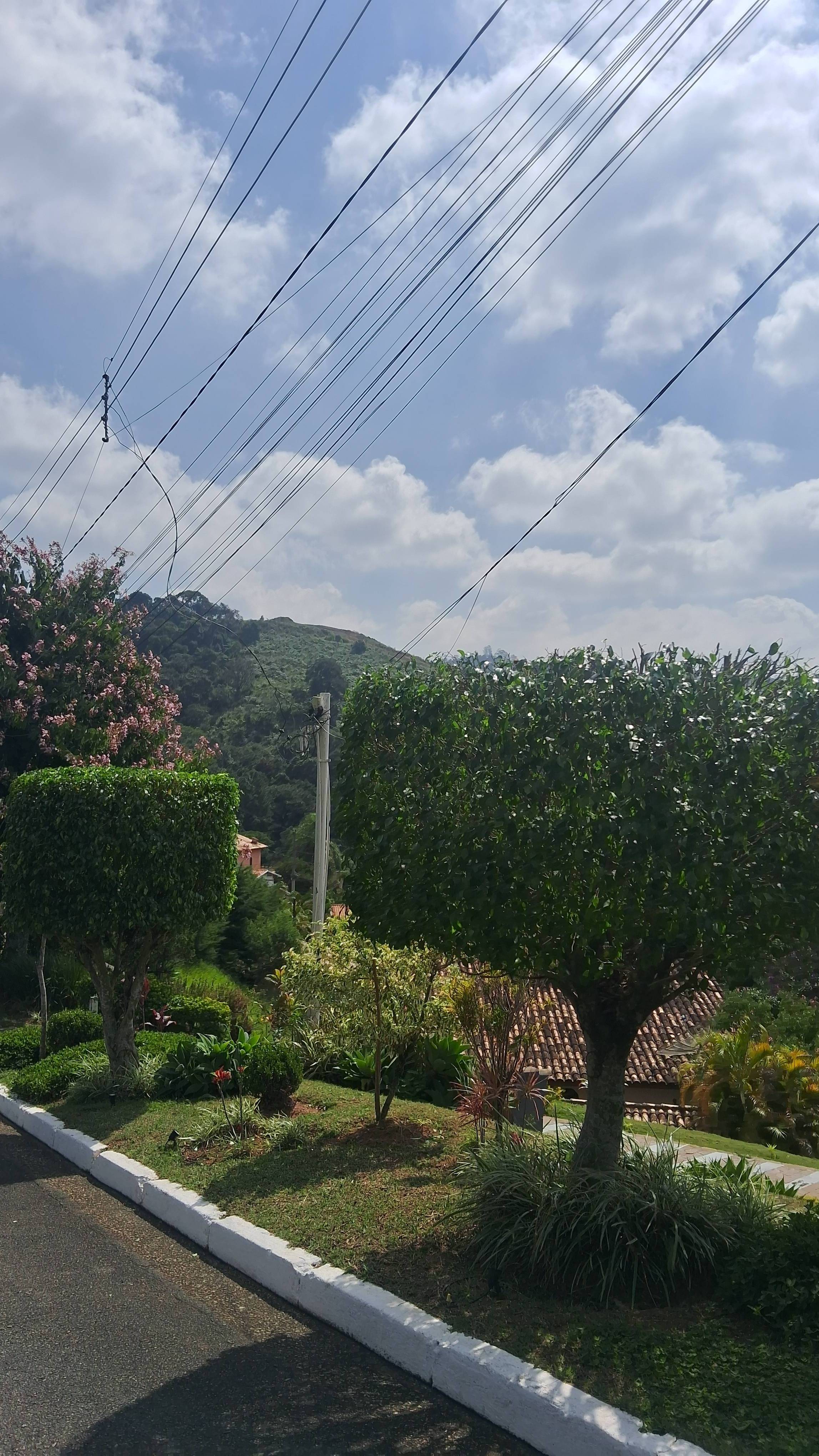 Foto de Limpeza e jardinagem