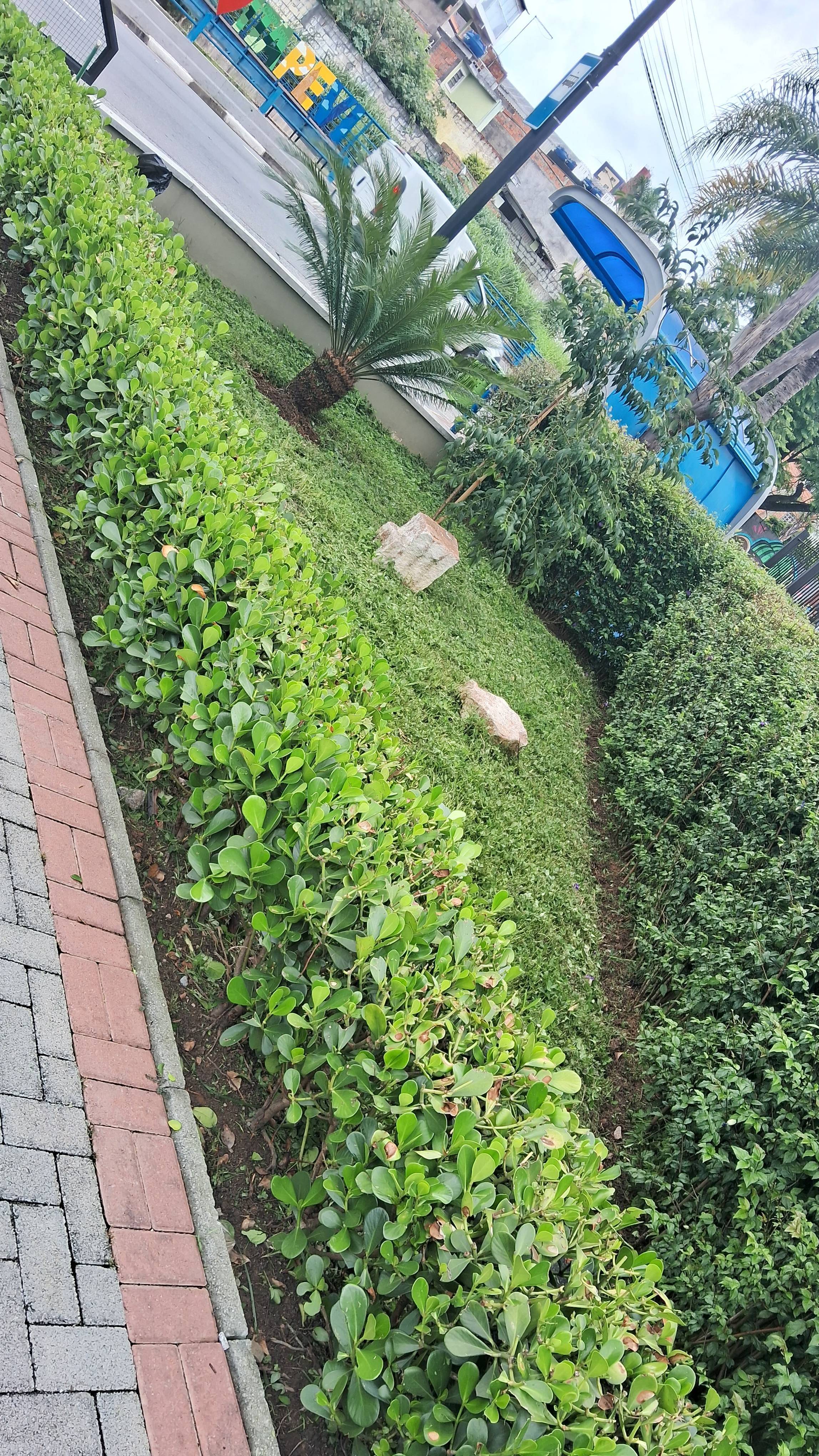Foto de Limpeza e jardinagem
