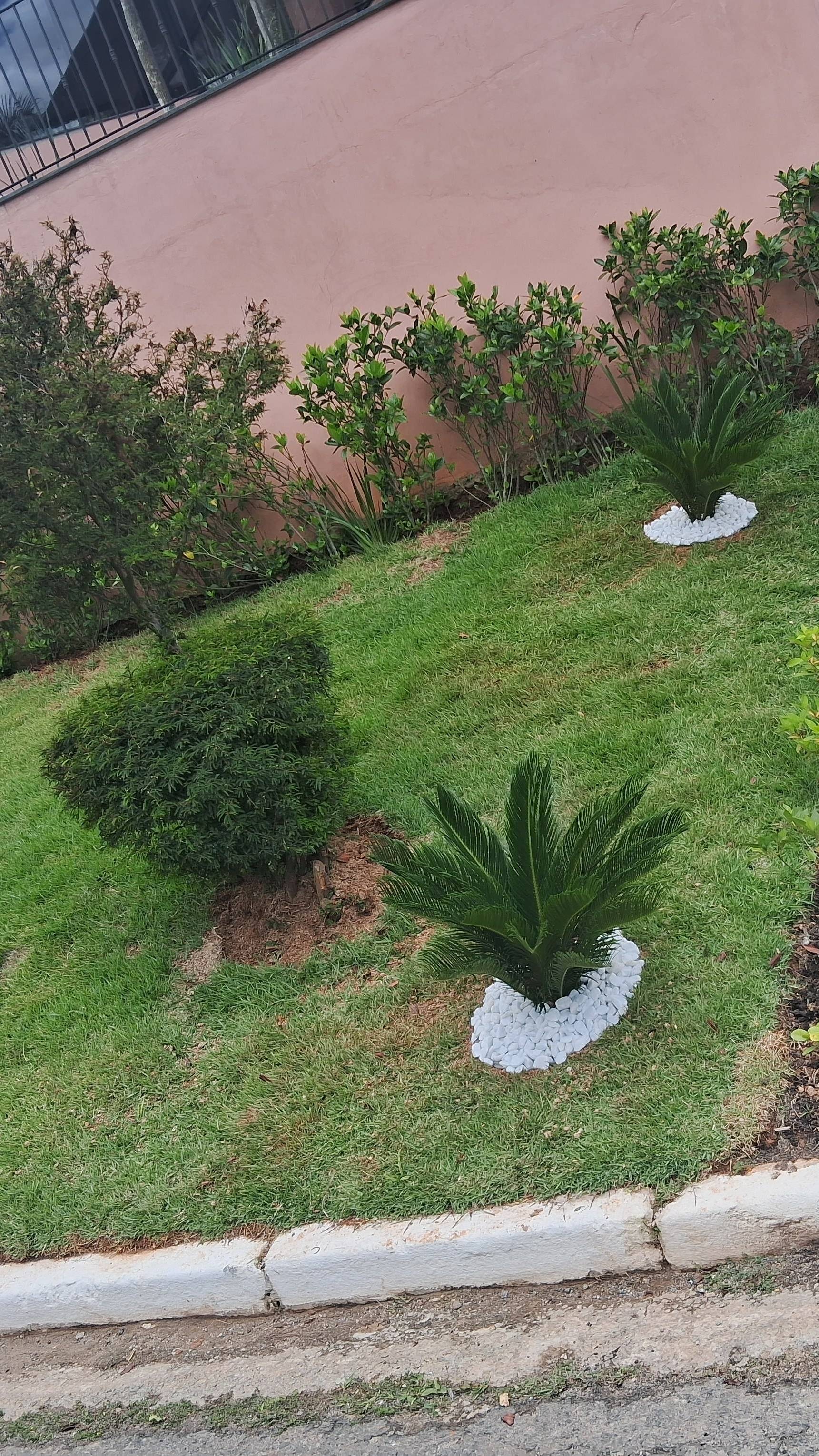 Foto de Limpeza e jardinagem