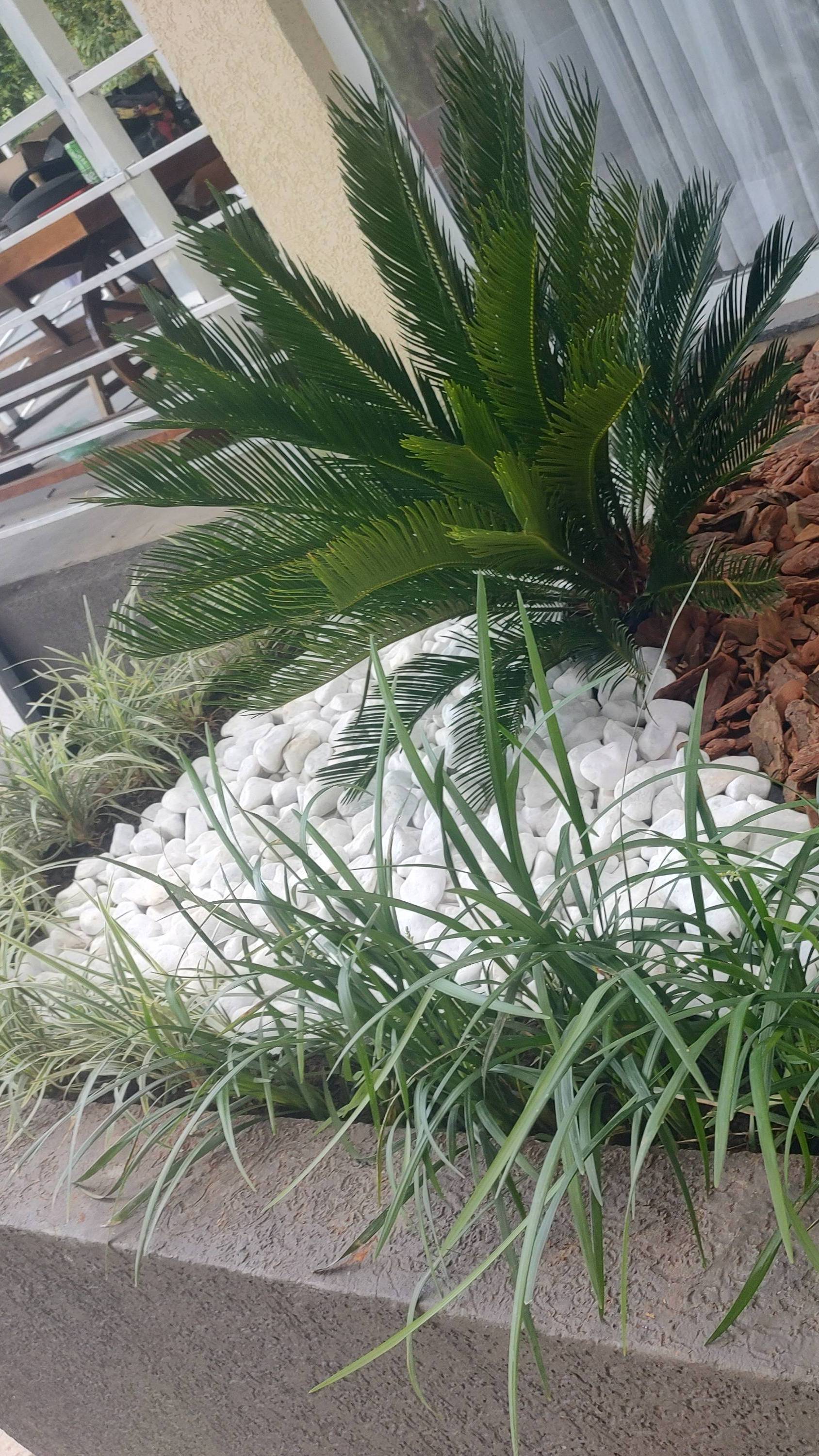 Foto de Limpeza e jardinagem