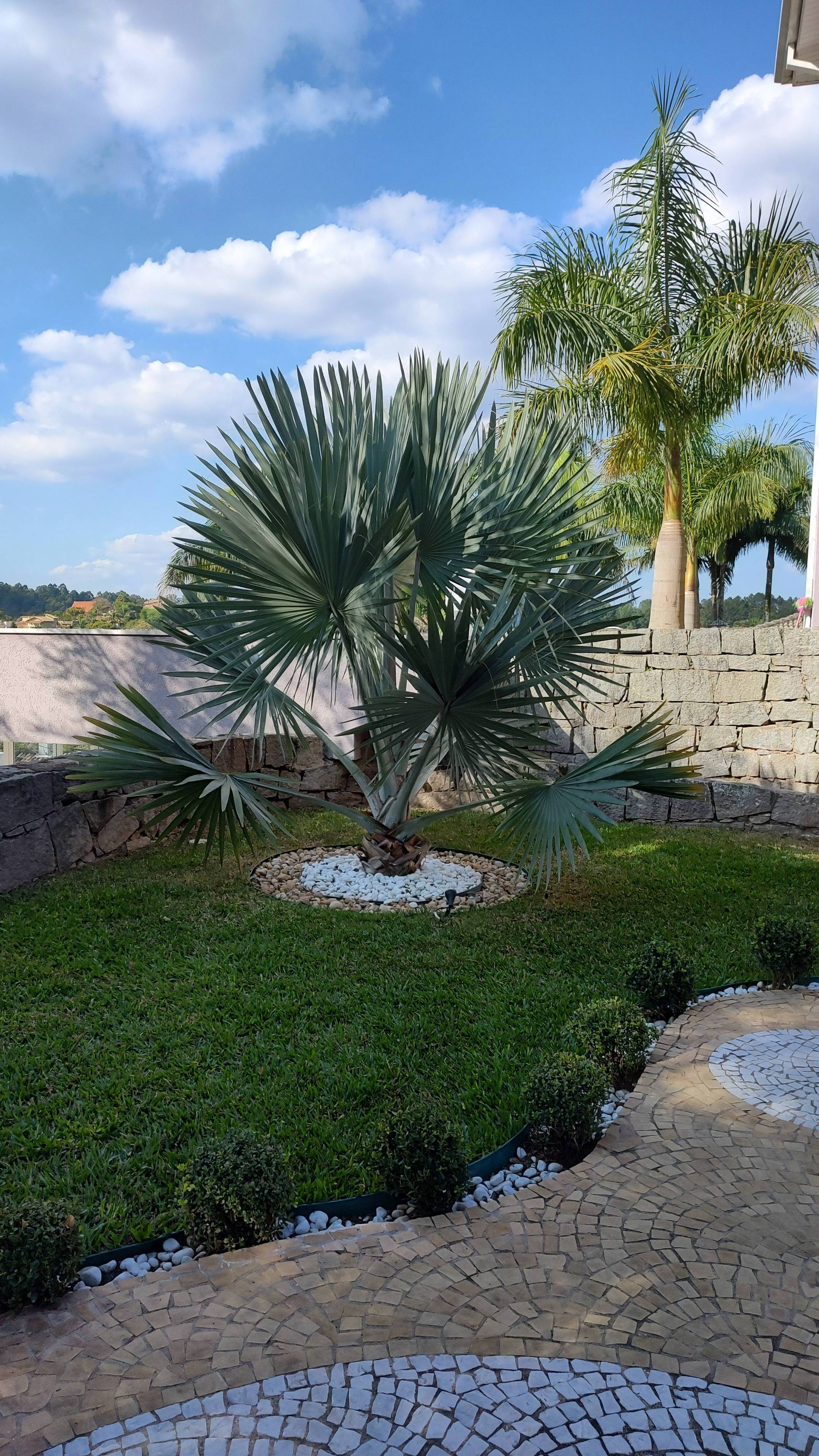 Foto de Limpeza e jardinagem