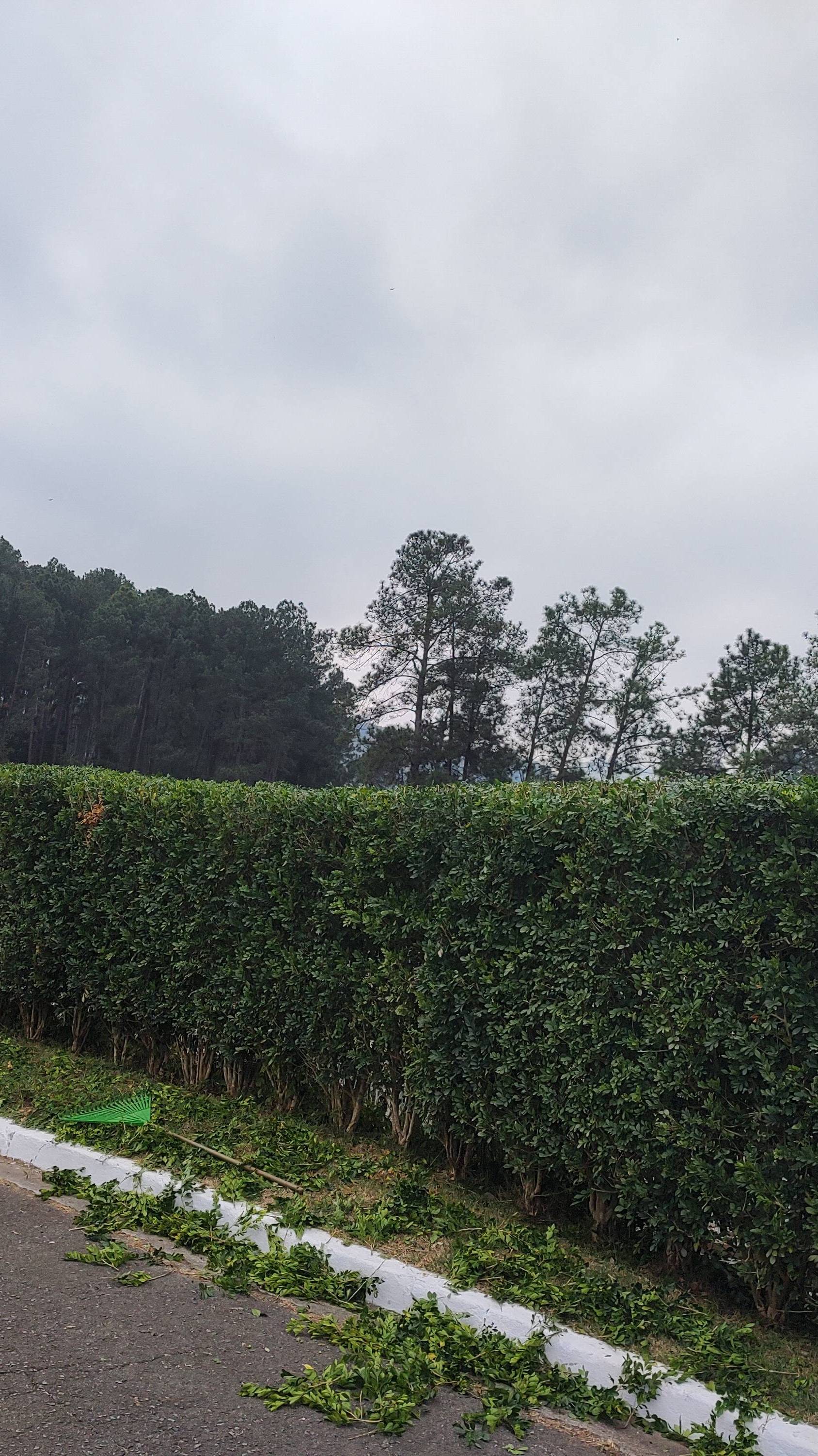 Foto de Limpeza e jardinagem