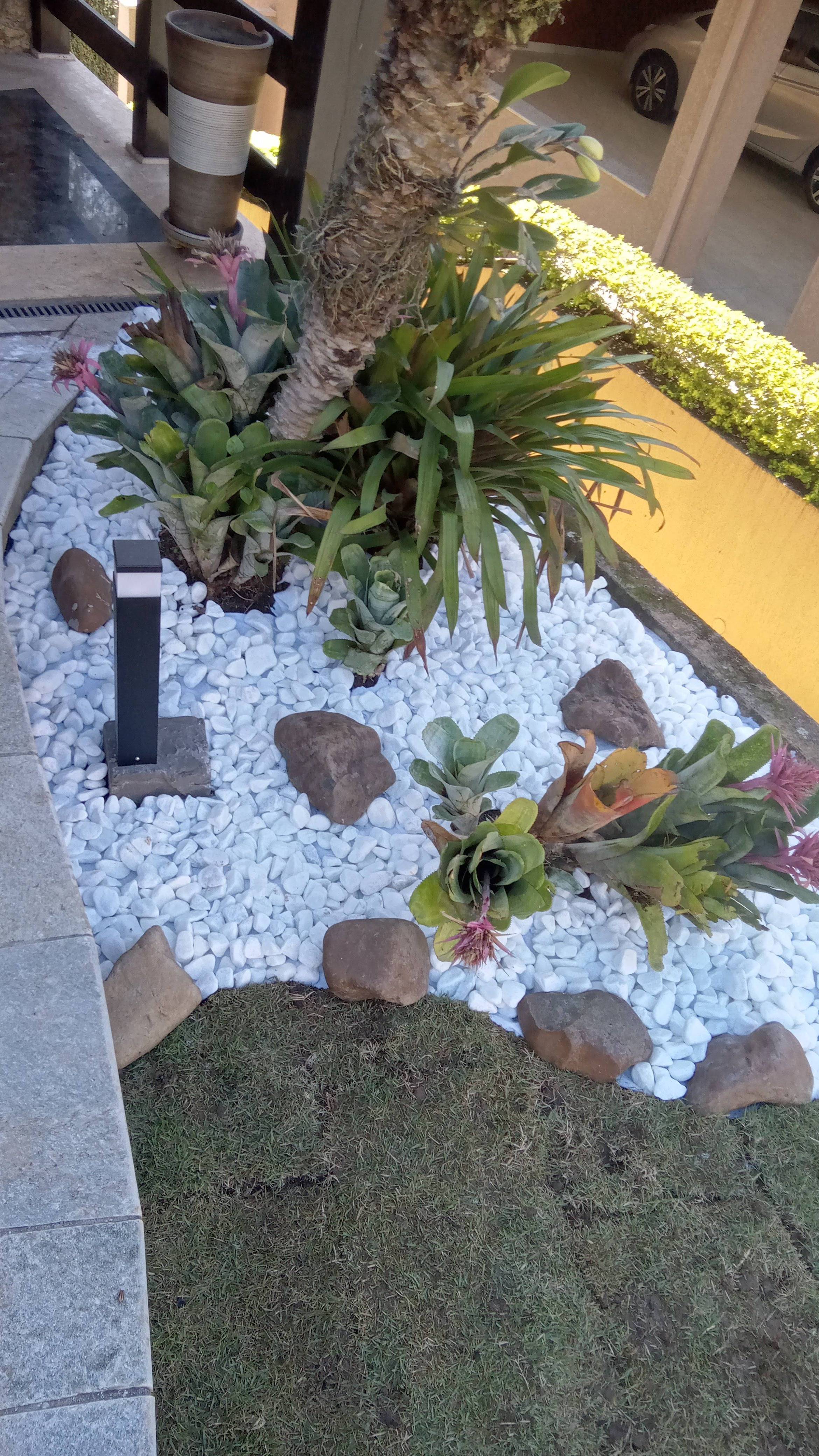 Foto de Limpeza e jardinagem