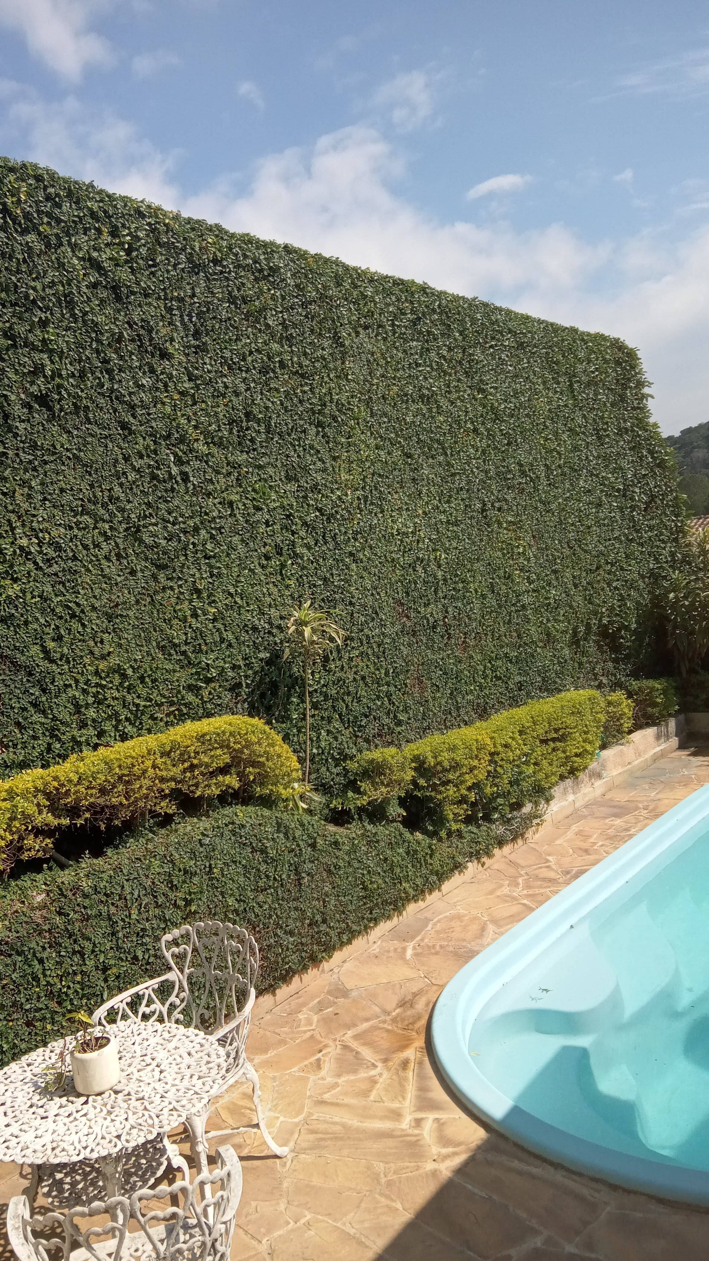 Foto de Limpeza e jardinagem