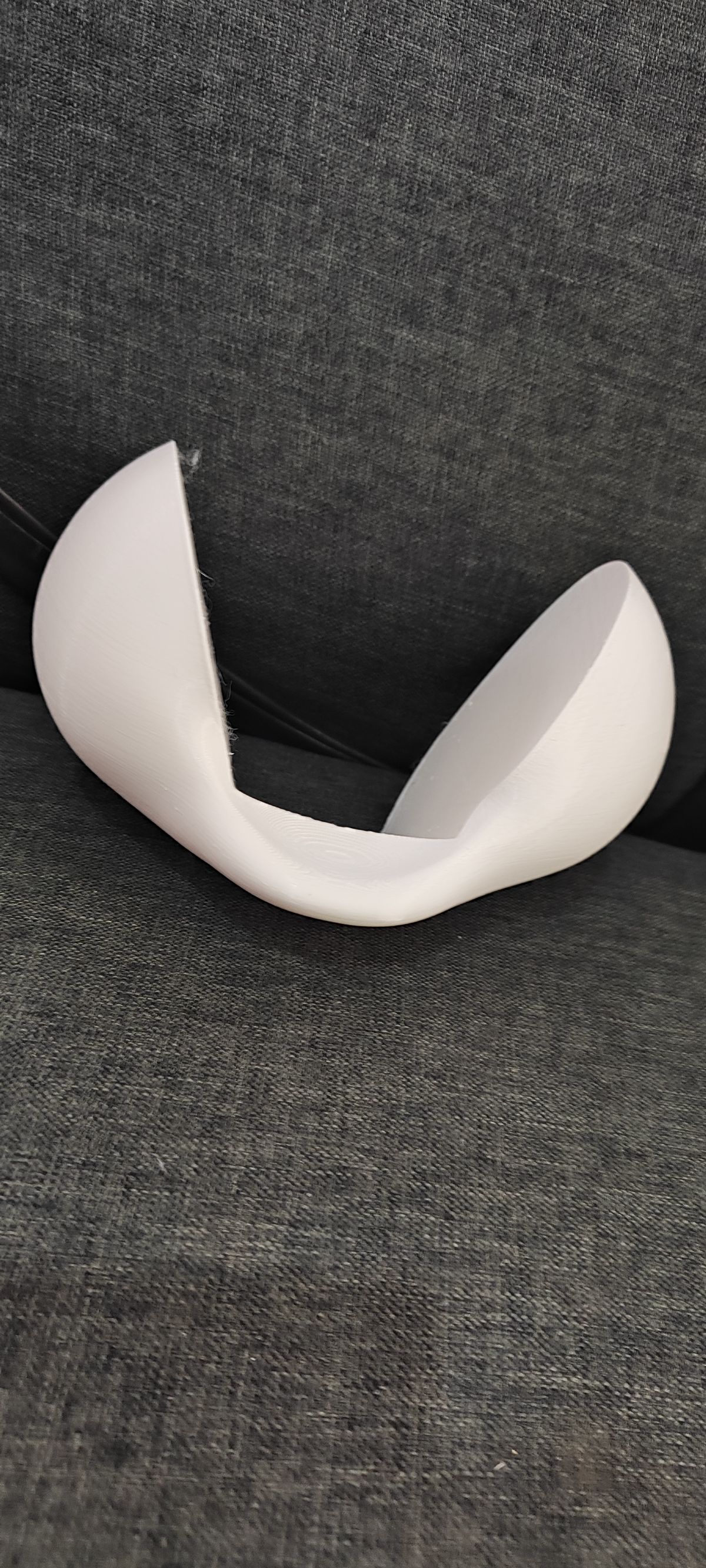 Palomera Yoshi - foto 2