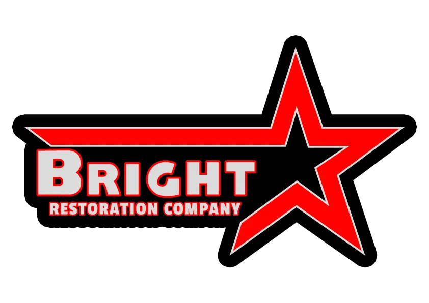 logo Bright Company INC