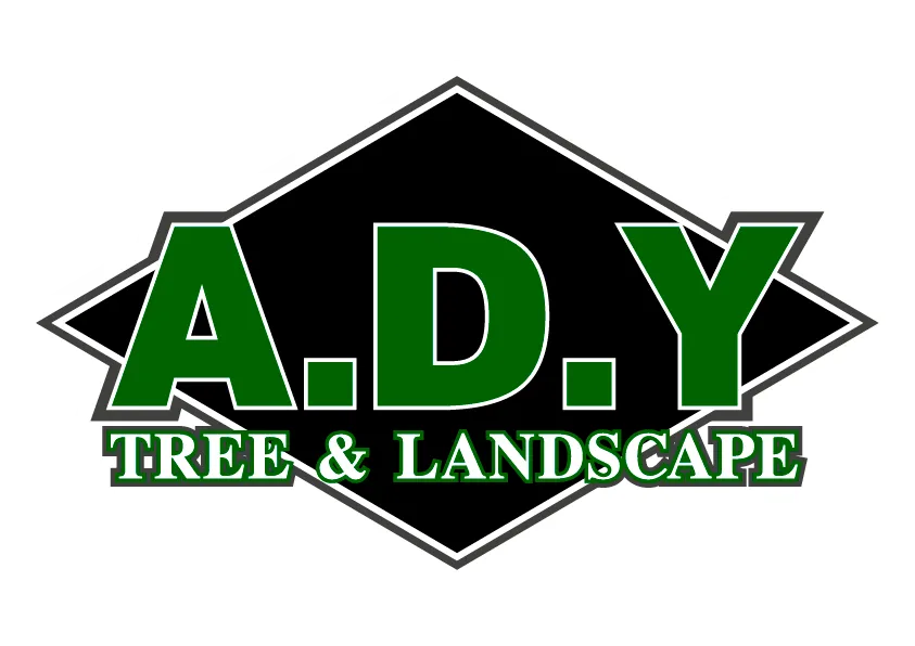 adytreelandscapellc.com favicon