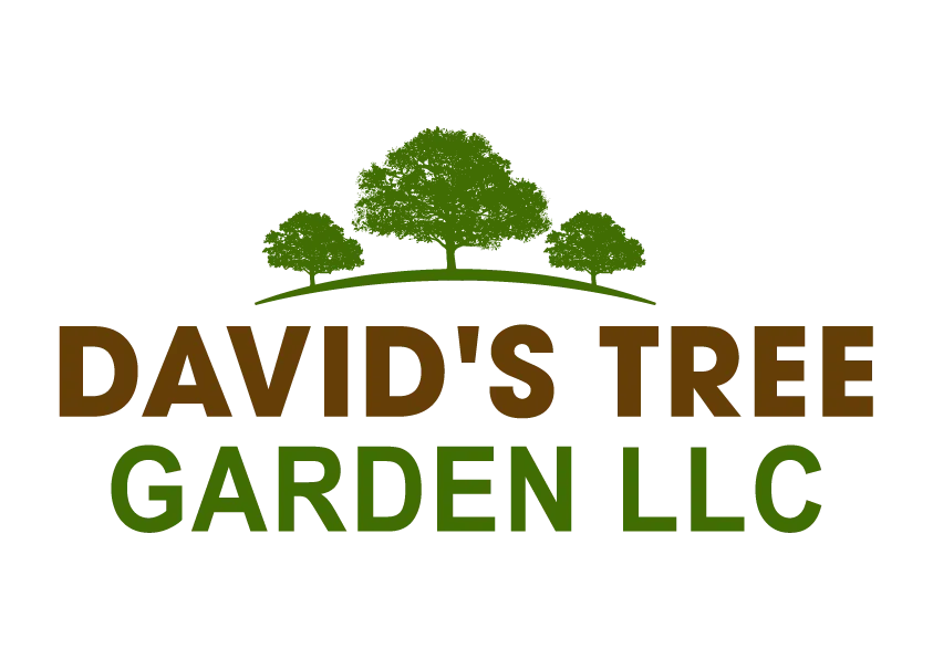 logo David's Tree Garden LLC