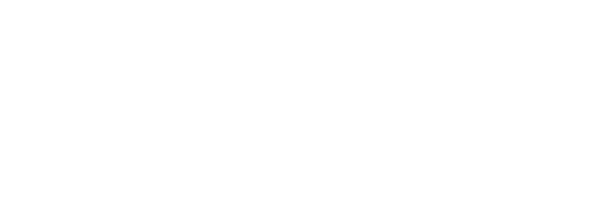logo Big N Construction