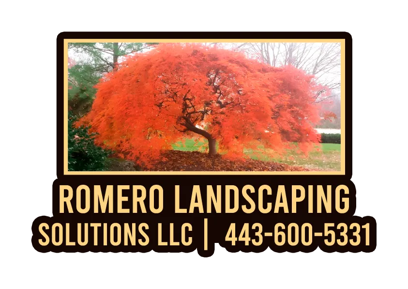 logo Romero Landscaping Solutions LLC