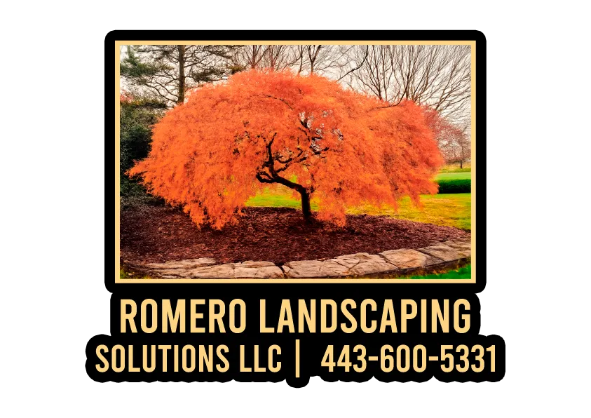 logo Romero Landscaping Solutions LLC