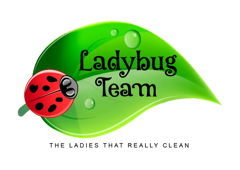 logo Ladybug Team LLC