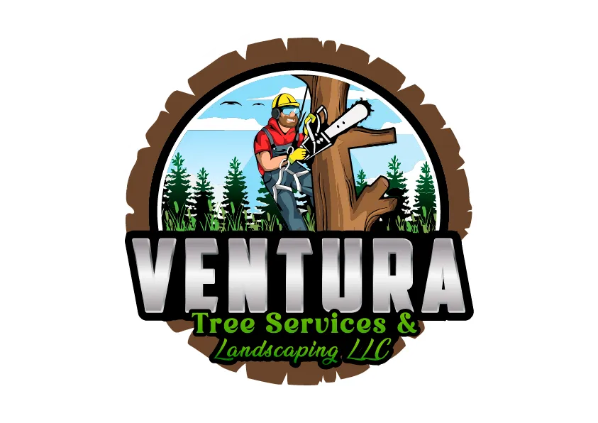 logo Ventura  Landscaping LLC