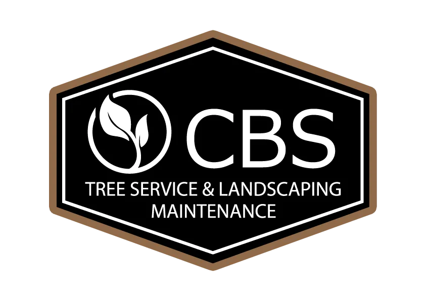 logo CBS Tree Service & Landscaping Maintenance