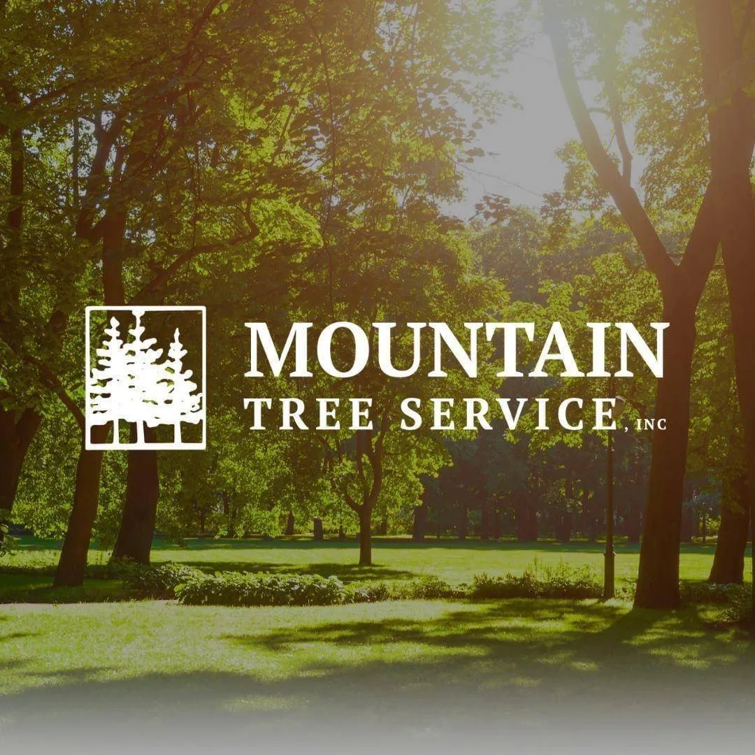 logo Mountain Tree Service, Inc.