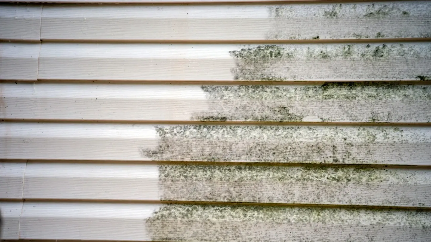 The Benefits of Pressure Washing for Homeowners