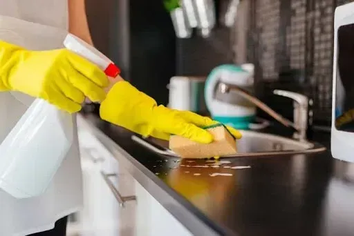 cleaner2