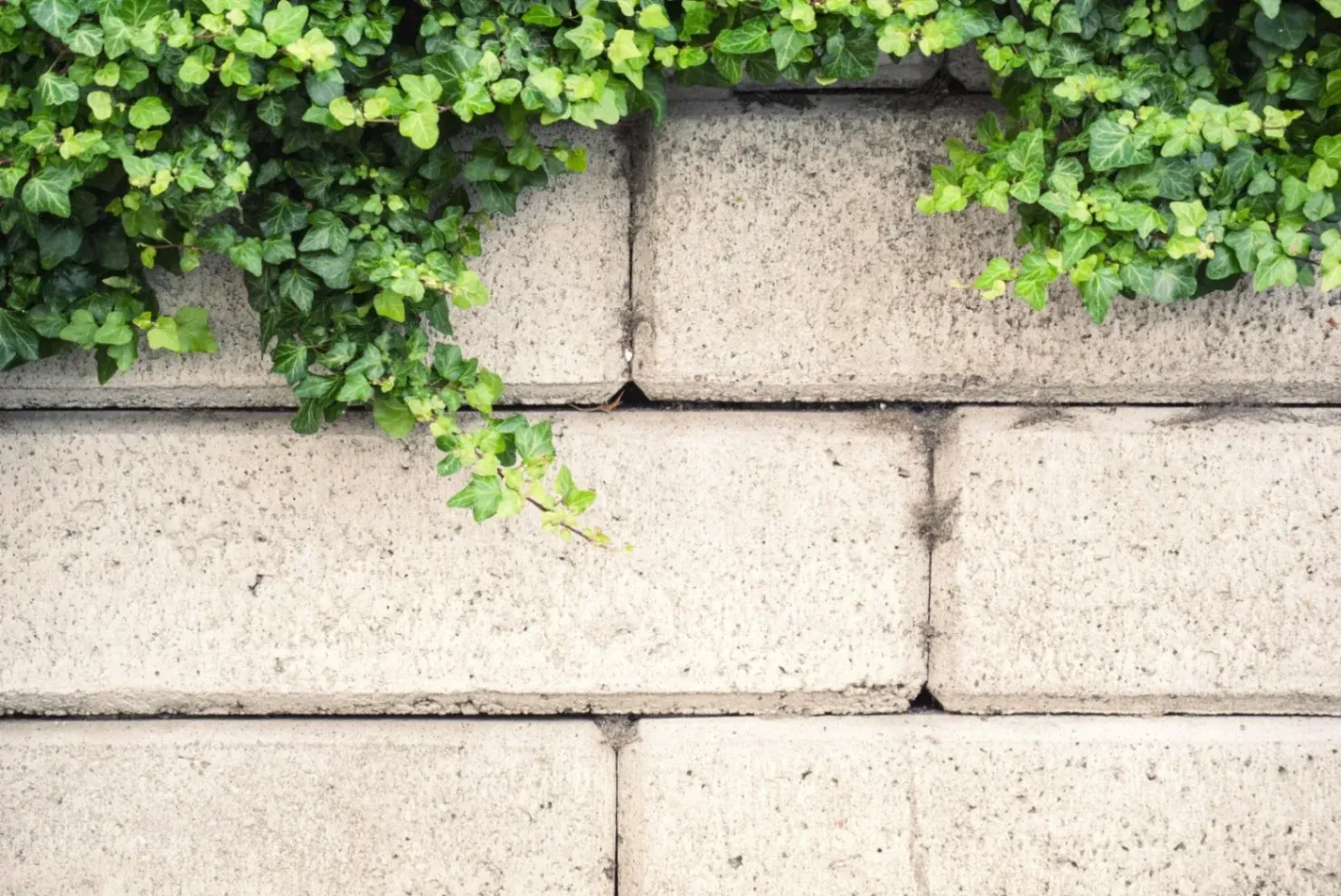 Eco-Friendly Landscaping Techniques