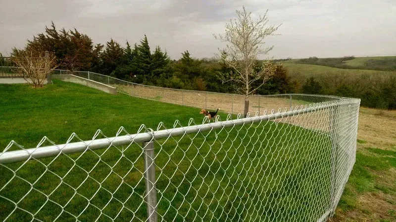 Insurance Claim Fence Replacement
