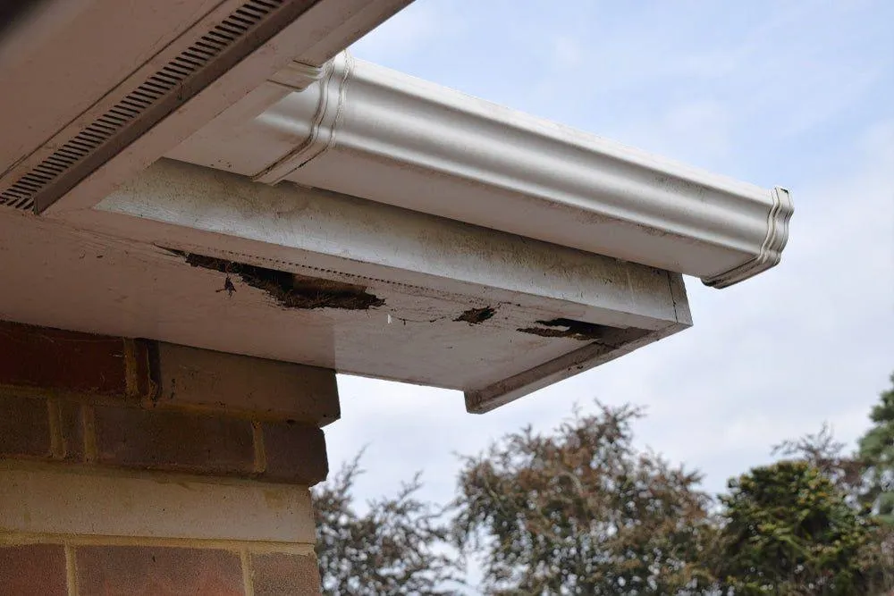 Roof Inspection
