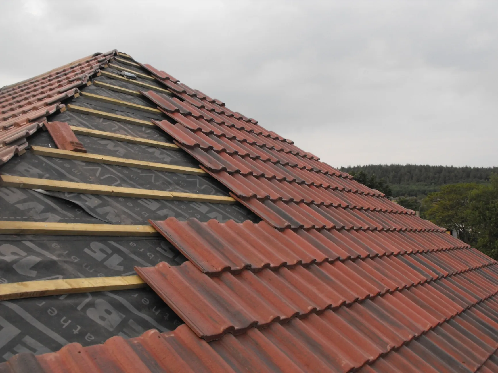Top 5 Roofing Materials for Your Home