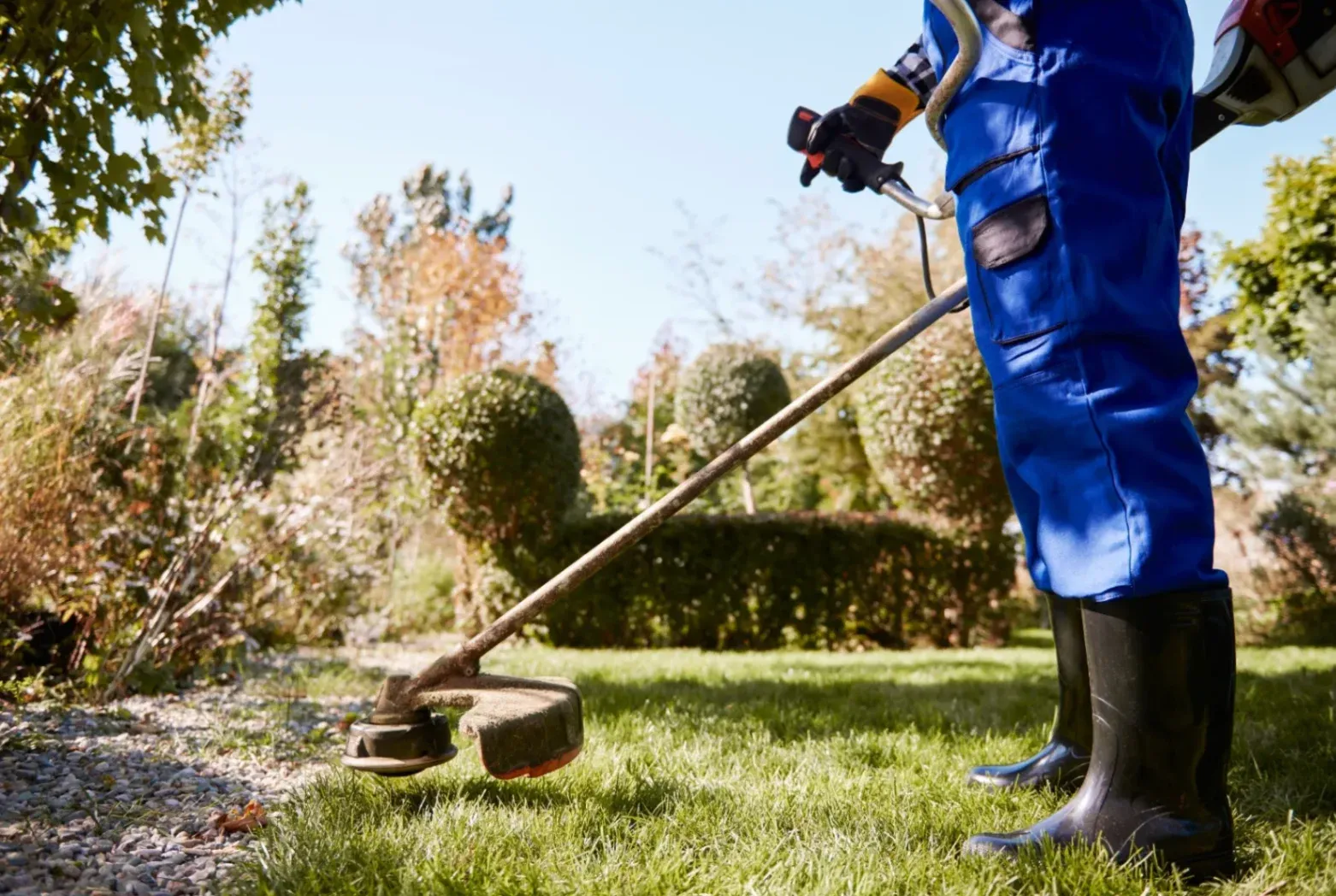 Maintaining Your Garden During Months