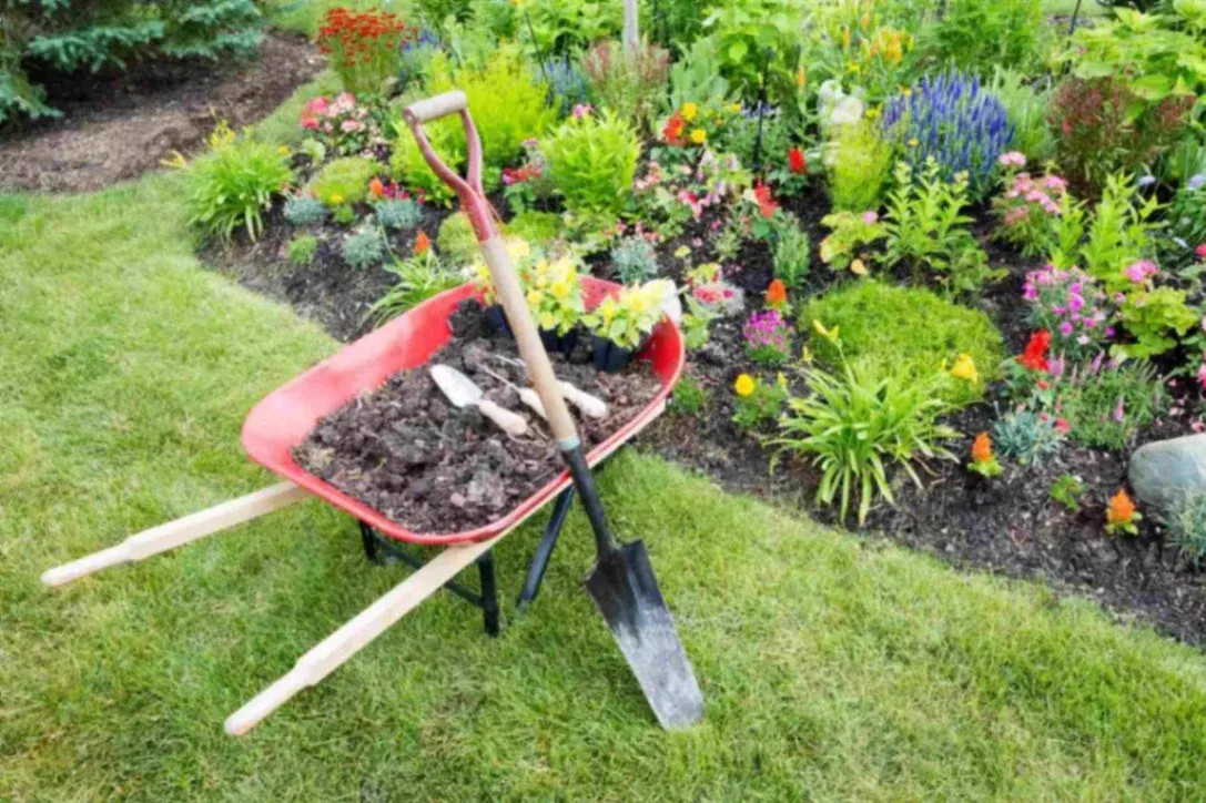 Seasonal Landscape Maintenance Checklist
