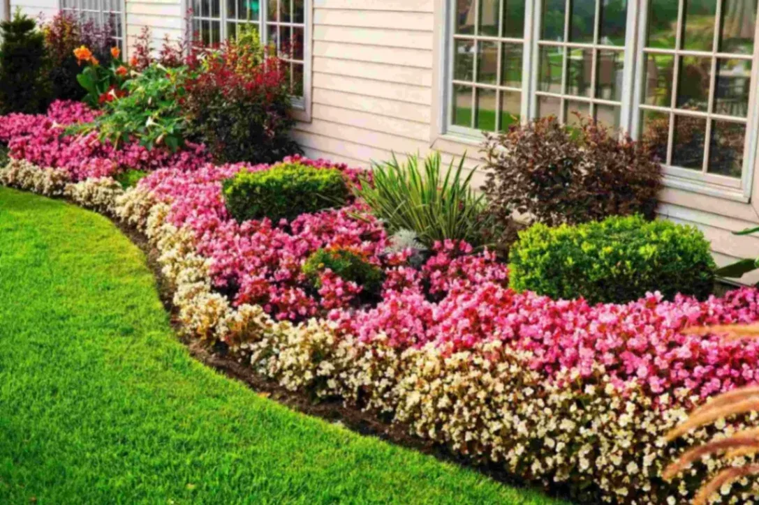 Innovative Hardscaping Ideas for Modern Gardens
