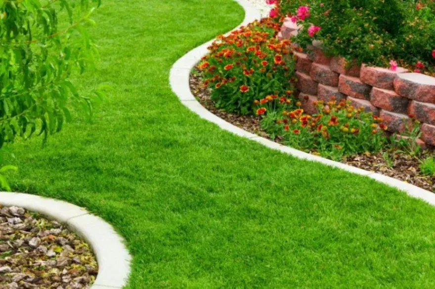 The Role of Soil Health in Sustainable Gardening