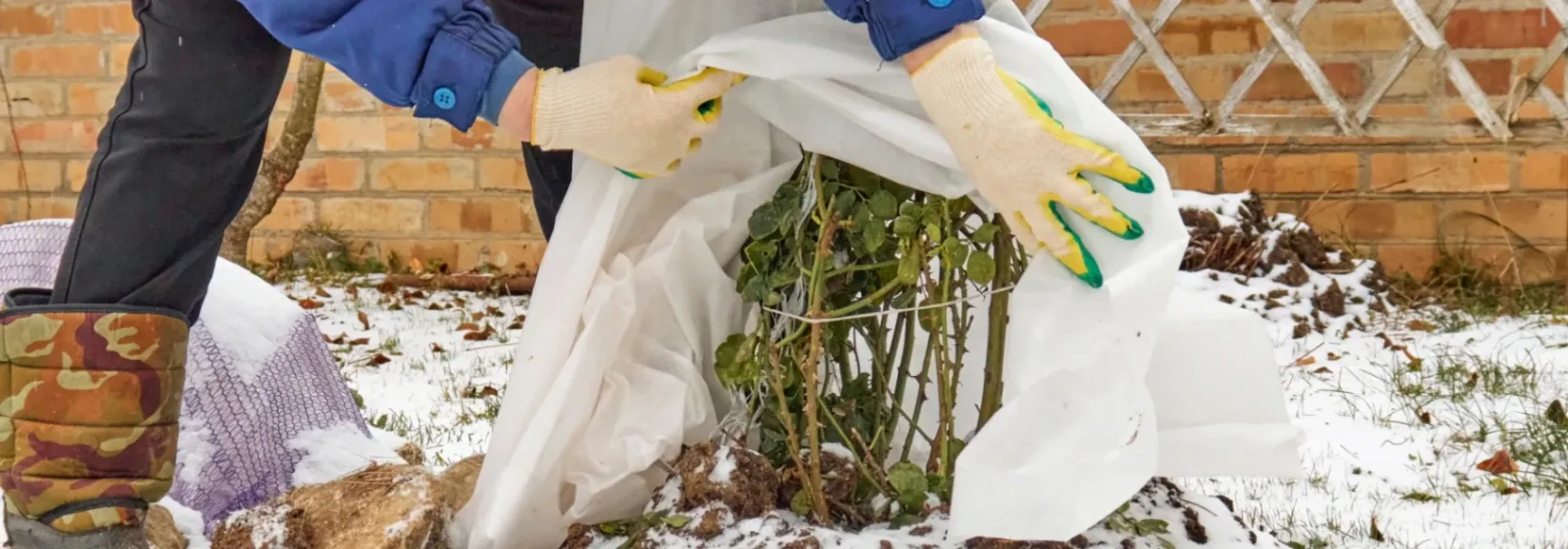 Preparing Your Landscape for Winter: Essential Tips