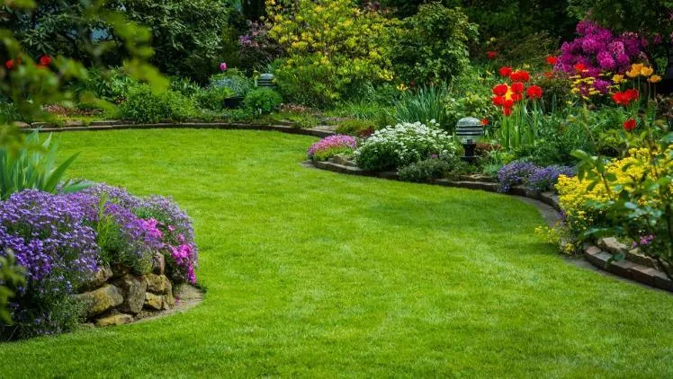 The Green Blueprint: 3 Essential Steps to a Thriving Garden