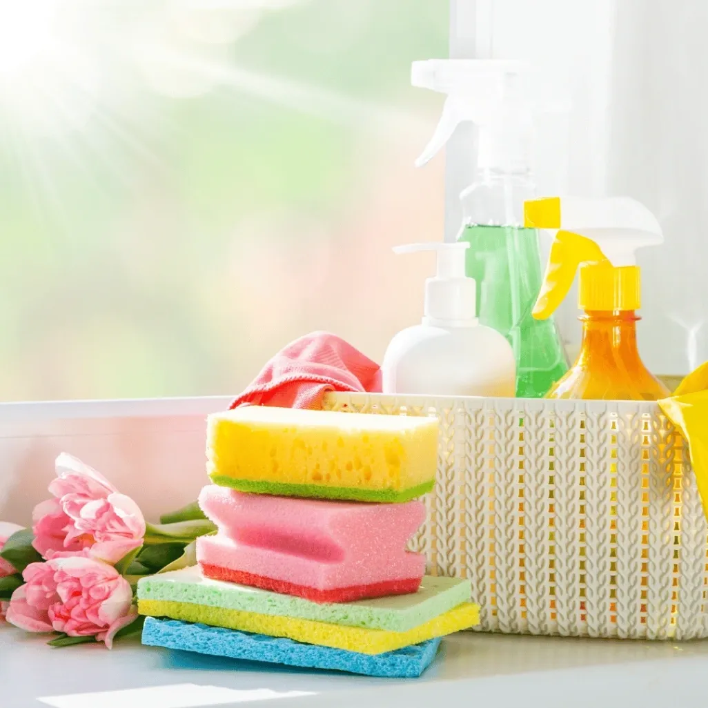 Top 5 Benefits of Regular Window Cleaning