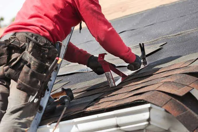 Professional Roof Repair Services and Asset Protection