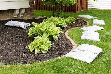 Premium Mulching Services & Professional Soil Protection