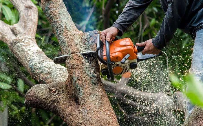 Preparing Your Landscape Equipment for Winter