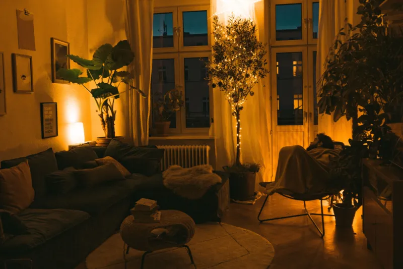 How to Improve Your Home's Energy Efficiency