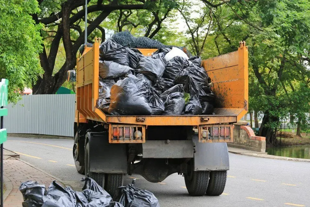 The Benefits of Professional Junk Removal Services