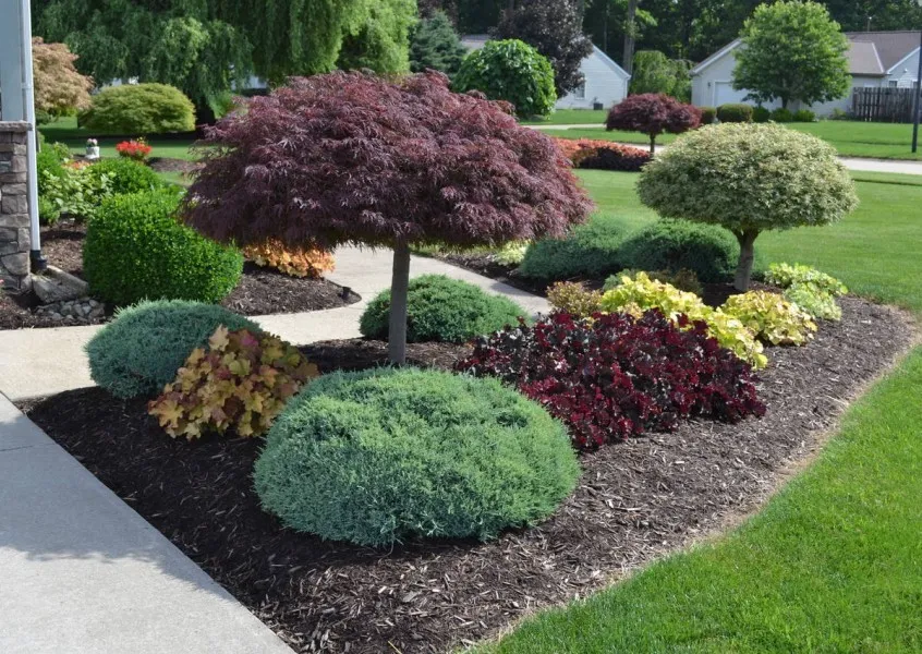 Choosing the Right Plants for Your Landscape