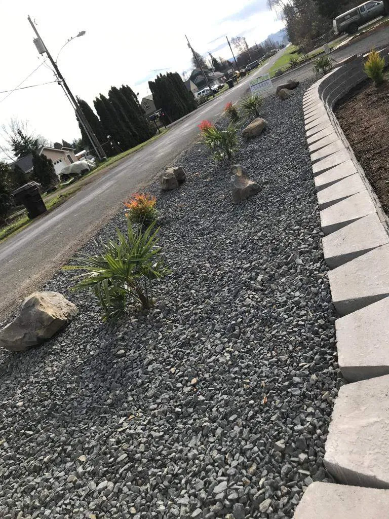 The Importance of Drainage in Landscaping