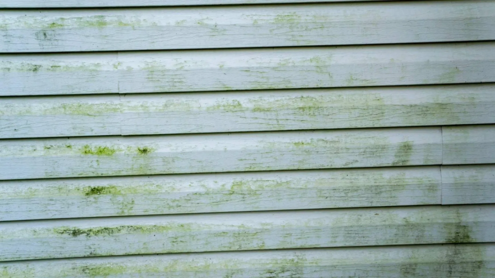 Siding Problems in Arkansas: Mold, Warping, and Hidden Damage Explained