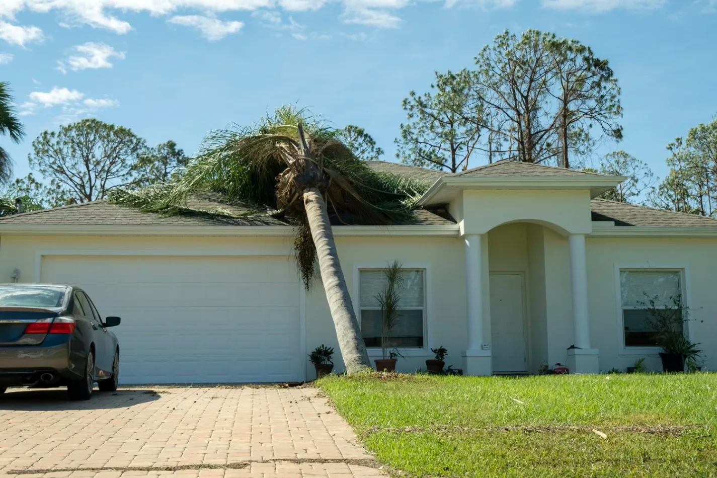 5 Signs Your Tree is a Hazard to Your Oakley, CA Home