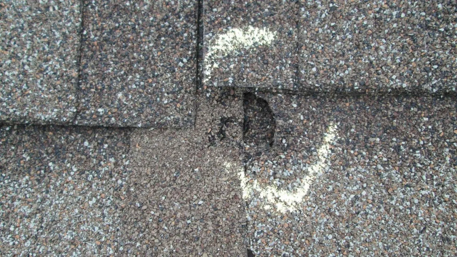 Hail Damage vs Blistering: Key Differences You Should Know