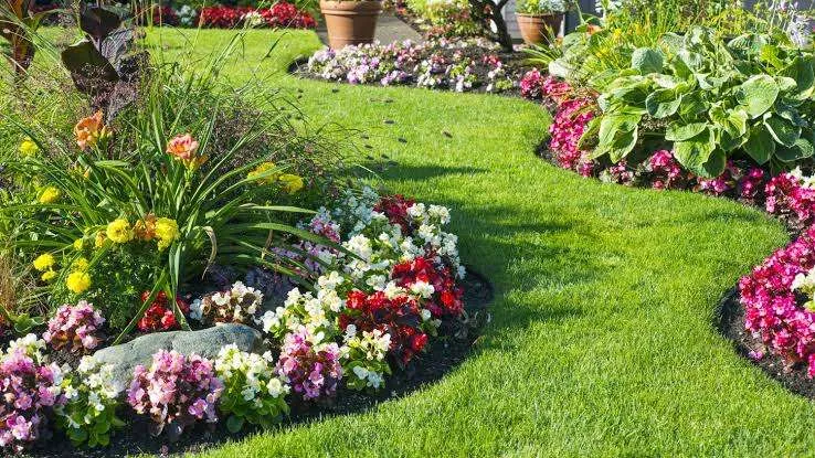 Essential Garden Care Tips for the Summer Heat