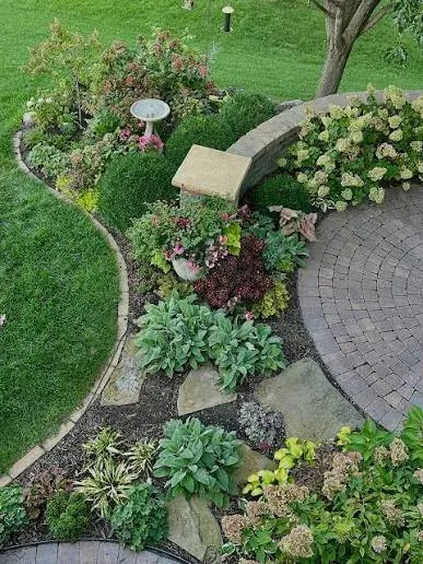 How to Choose the Right Trees for Your Landscape