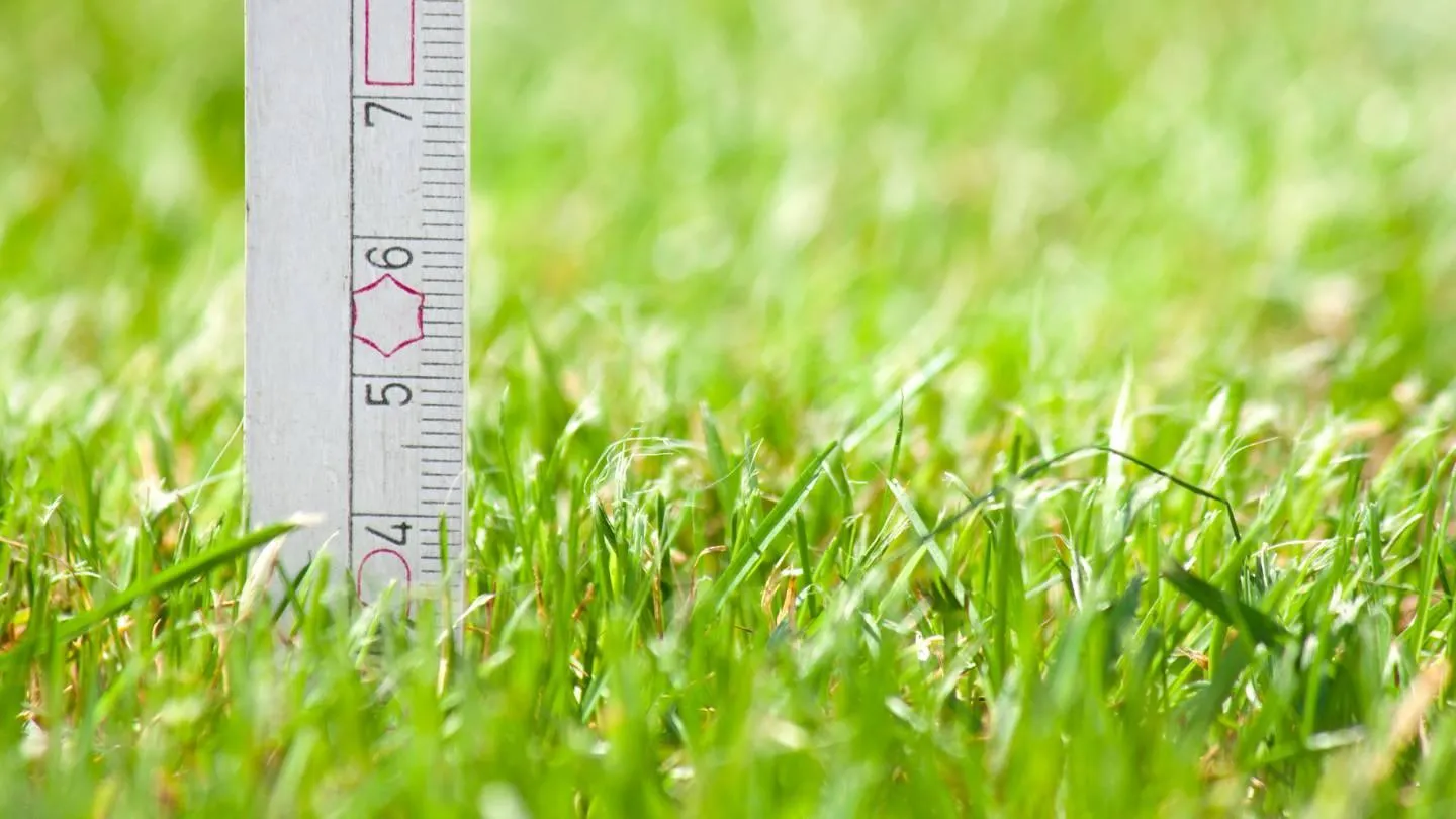 Grass Cutting Height Chart: Mow By Grass Type & Season
