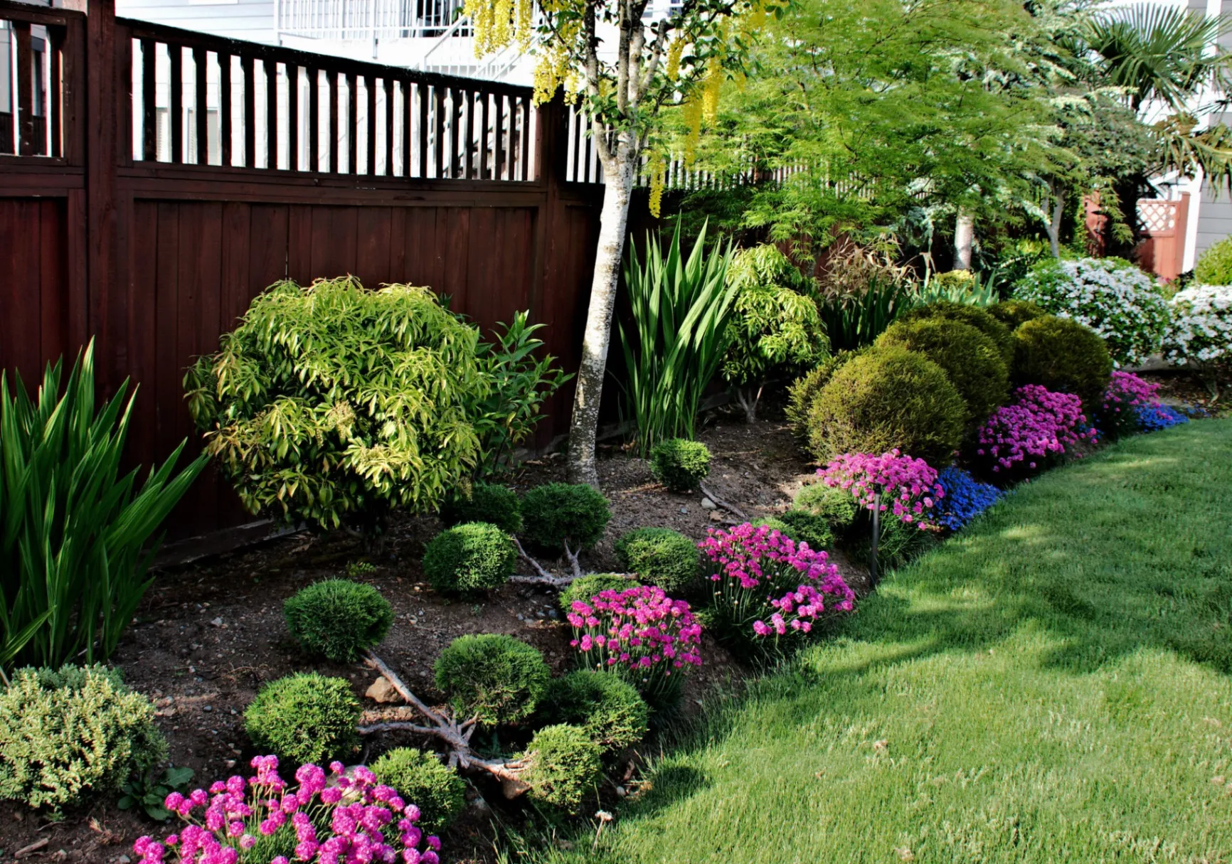 Gardening in : What You Can Do