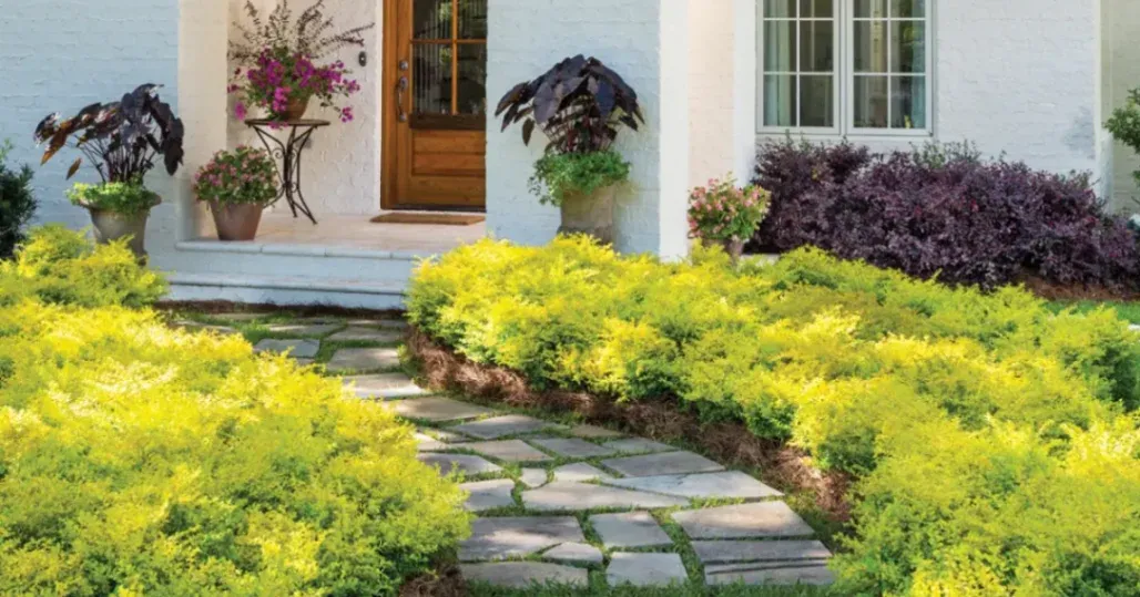 Gardening: Best Plants to Consider
