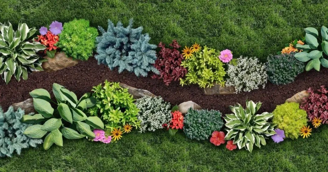 Top 5 Summer Landscaping Trends for 2026