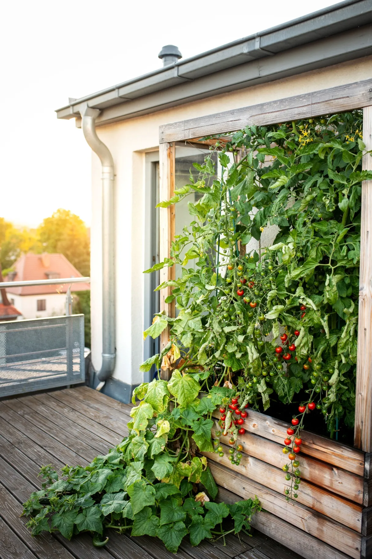 Vertical Gardening Ideas for Small Spaces